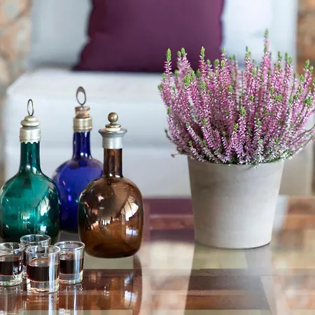 Hotel Amalia Delphi