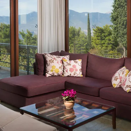 Hotel Amalia Delphes