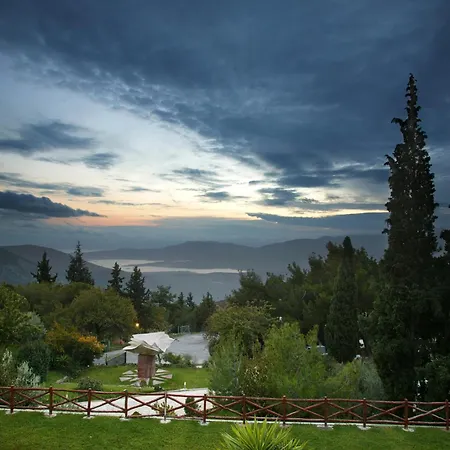 فندق Amalia 4*