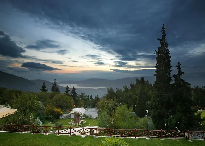 Ξενοδοχείο Amalia 4*